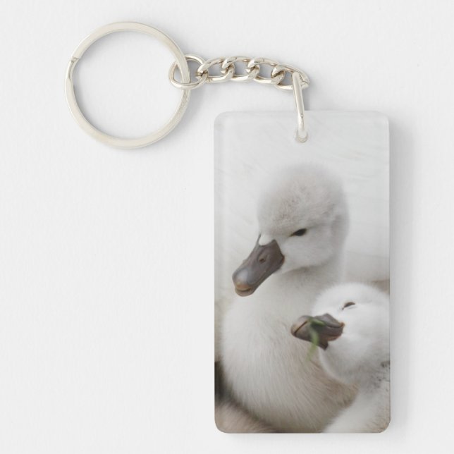 Mute Swan Cygnets Key Ring (Front)
