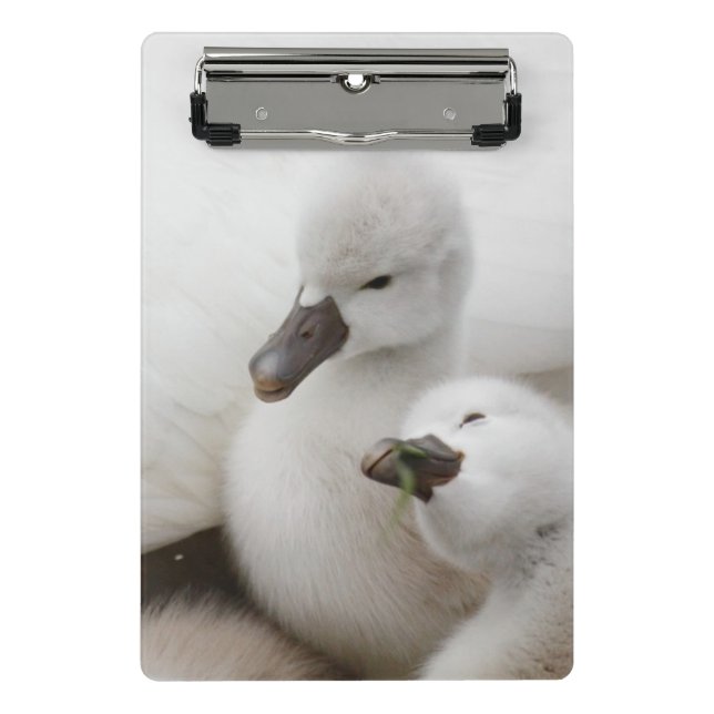 Mute Swan Cygnets Mini Clipboard (Front)