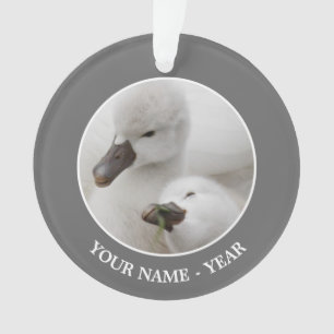Mute Swan Cygnets Ornament