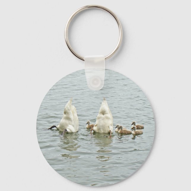 Mute Swan Famly Key Ring (Front)