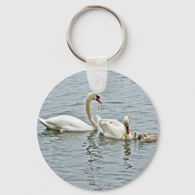 Mute Swan Famly Key Ring (Front)