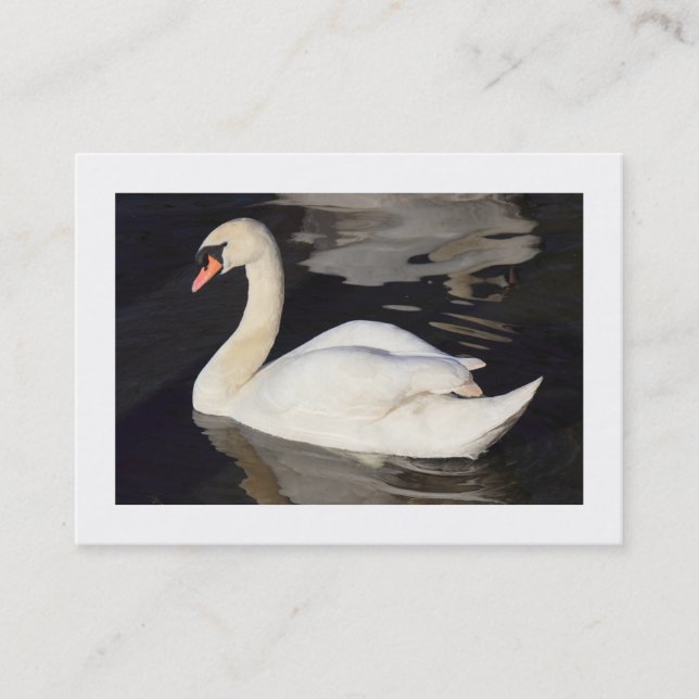 Mute Swan II (Bordered) Business Card (Front)