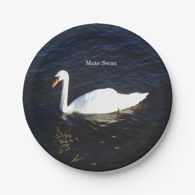 Mute Swan paper plate (Front)