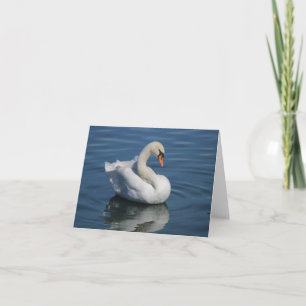 Mute Swan Photo Folded Note Card