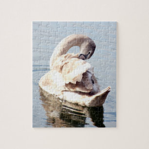 Mute Swan Preening Jigsaw Puzzle