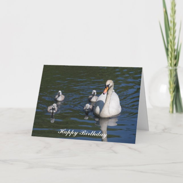 Mute Swan with Cygnets Birthday Card (Front)