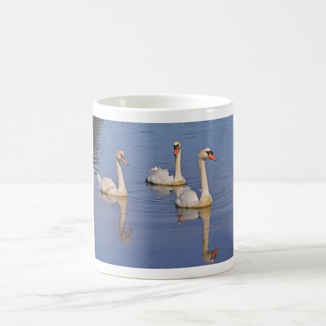 Mute swans swimming coffee mug (Center)