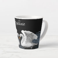 Mute White Swan Mirror Image Animal Photography