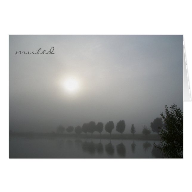 Muted (Front Horizontal)