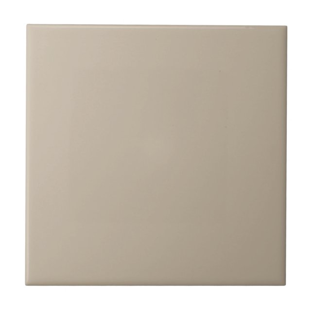 Muted Elegance Calm Stone Decorative Ceramic Tile (Front)