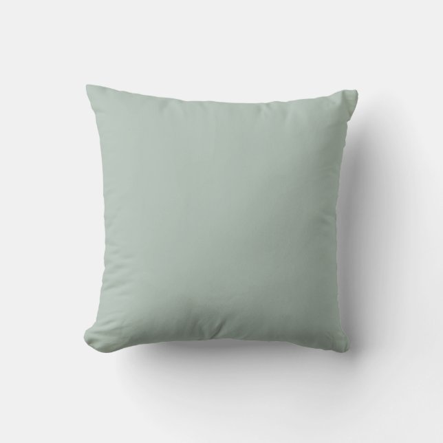 Muted Eucalyptus Green Color Cushion (Front)