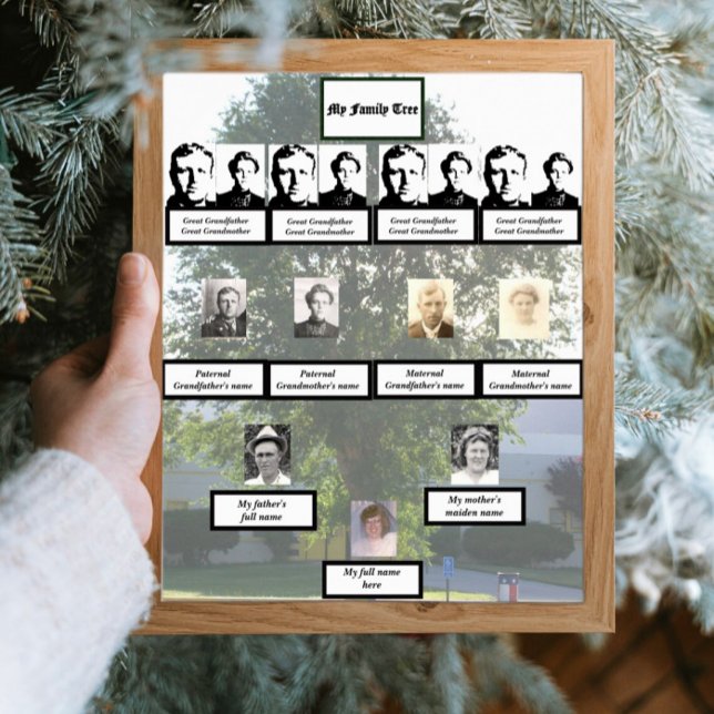 Muted Four-Generation Summertime Family Tree Photo Poster (Creator Uploaded)
