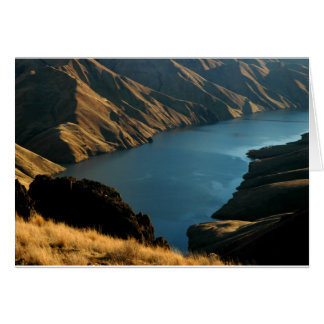 MUTED SNAKE: December River