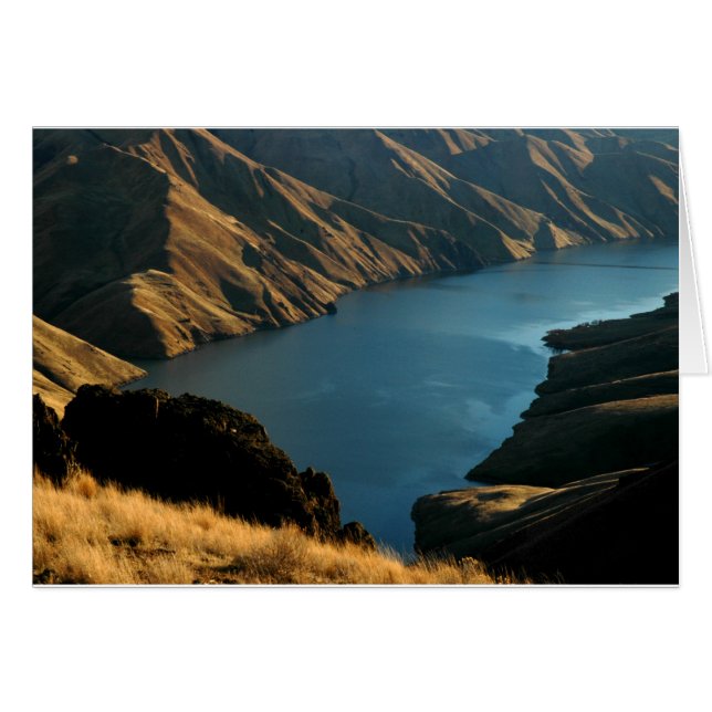 MUTED SNAKE: December River (Front Horizontal)