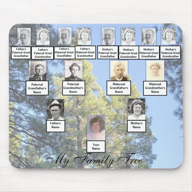 Muted Tall Pine Trees Family Tree Photos Mouse Pad (Front)
