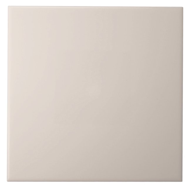 Muted Taupe Grey Tile (Front)