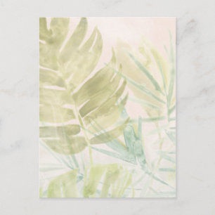 Muted Tropical Leaves Postcard