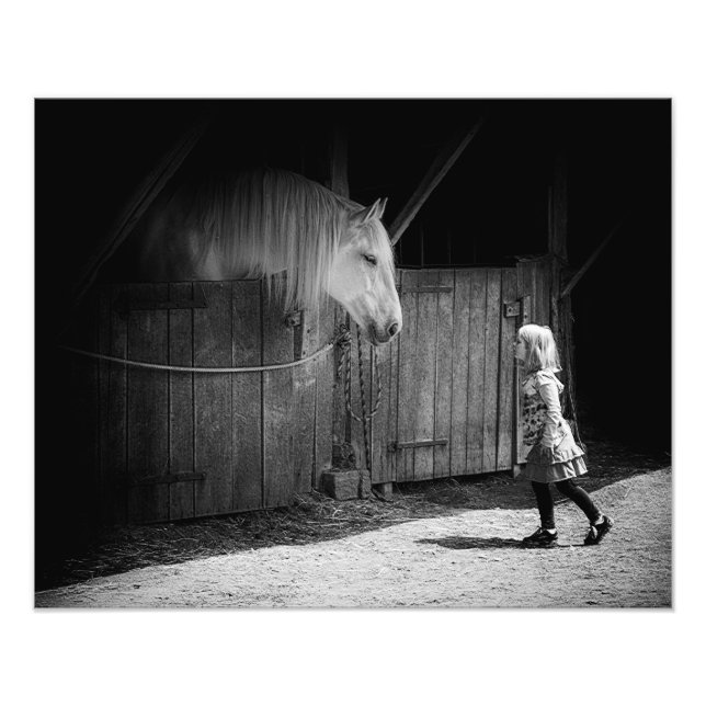 Mutual Curiosity Photo Print (Front)