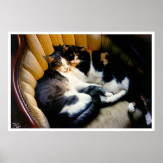 Mutual Support Poster