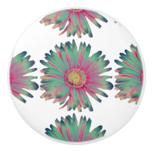 MVB Pastel Multi-Colour design 2 Ceramic Knob