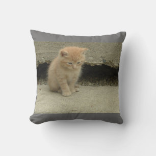 My Adorable Orange Tabby Kitten Cushion