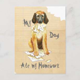My Afghan Hound Ate my Homework Postcard