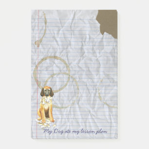 My Afghan Hound Ate my Lesson Plan Post-it Notes