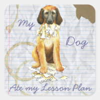 My Afghan Hound Ate my Lesson Plan