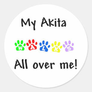 My Akita Walks All over Me Sticker