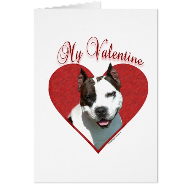 My AmStaff Valentine (Front)