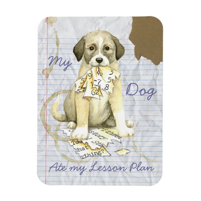 My Anatolian Ate My Lesson Plan Magnet (Vertical)