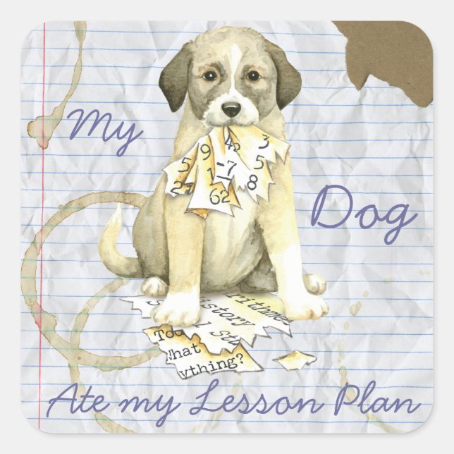 My Anatolian Ate My Lesson Plan Square Sticker (Front)