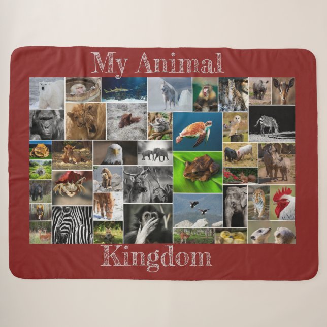 My Animal Kingdom Sherpa Blanket (Front (Horizontal))