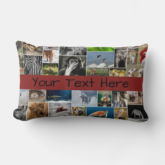 My Animal Kingdom Throw Pillow (Front)