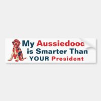 My Aussiedoodle is Smarter than Your President