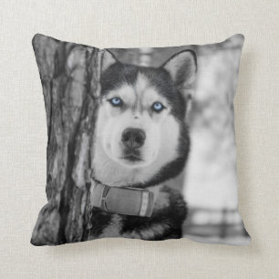 My Baby Blue Eyes Cushion