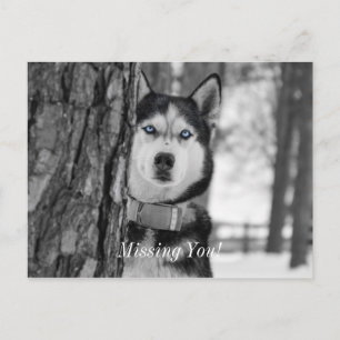 My Baby Blue Eyes Missing You Postcard