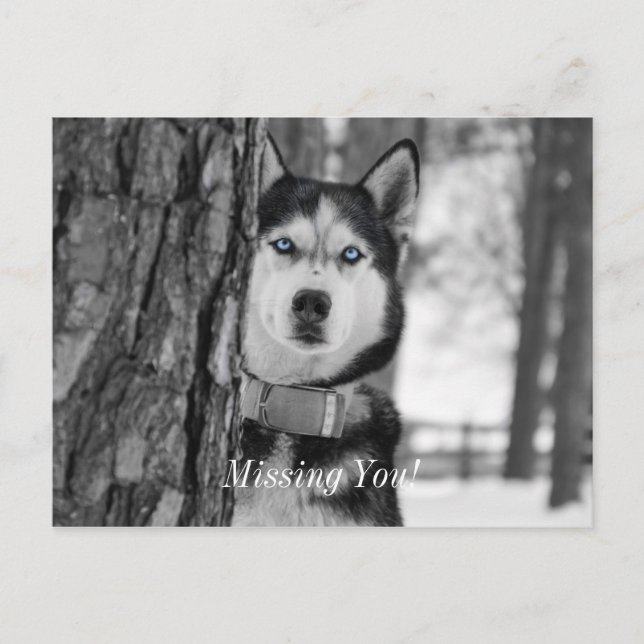 My Baby Blue Eyes Missing You Postcard (Front)