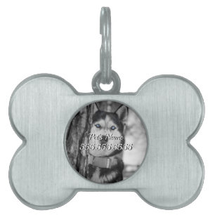 My Baby Blue Eyes Pet Name Tag