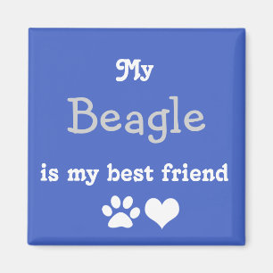 My Beagle is my best friend Magnet