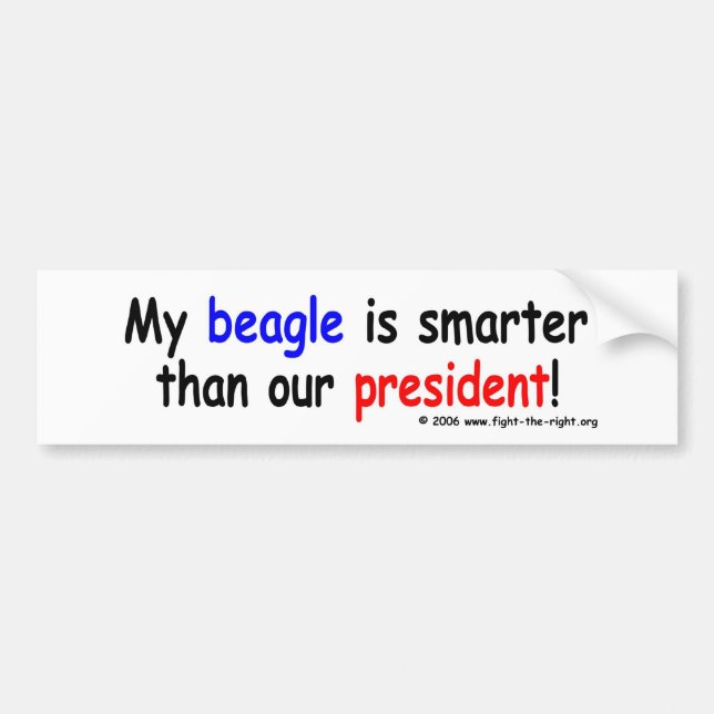 My Beagle is Smarter than our President Bumper Sticker (Front)