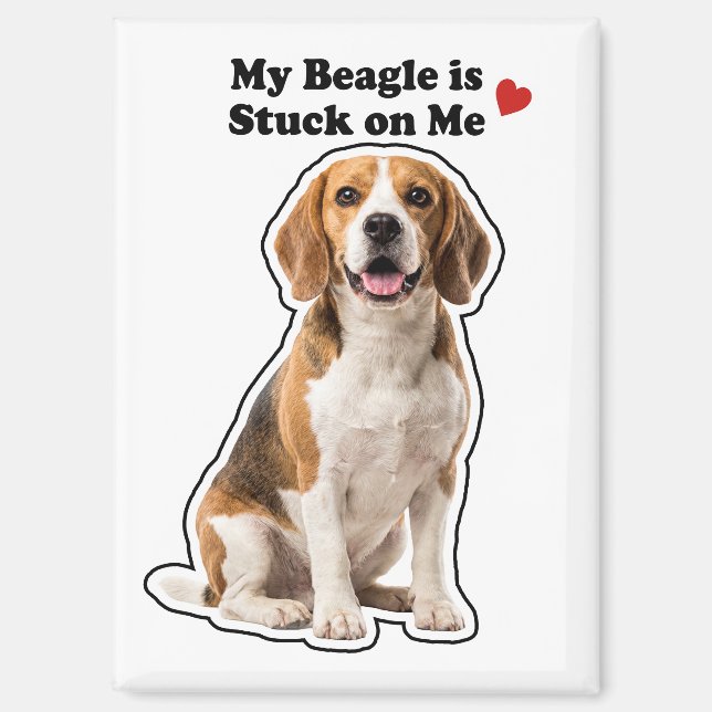 My Beagle Is Stuck On Me Cute Dog Lover Magnet (Front)