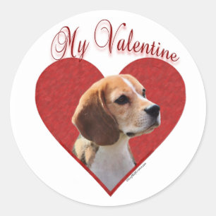 My Beagle Valentine Classic Round Sticker
