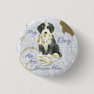 My Bearded Colllie Ate My Lesson Plan 3 Cm Round Badge