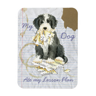My Bearded Colllie Ate My Lesson Plan Magnet