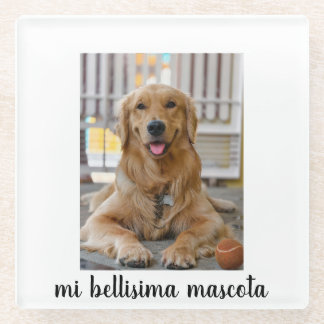 my beautiful pet glass coaster