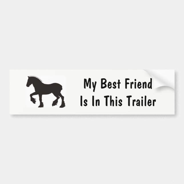 My Best Friend Bumper Sticker (Front)