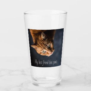 My best friend has paws, Cat Kitten Cute Glass