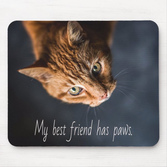 My best friend has paws, Cat Kitten Cute Mouse Pad (Front)