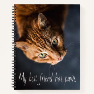 My best friend has paws, Cat Kitten Cute Notebook